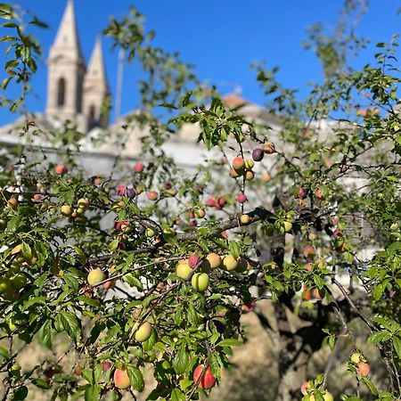 Borganthia - Il Chiostro Dei Medici Alberobello Exterior foto