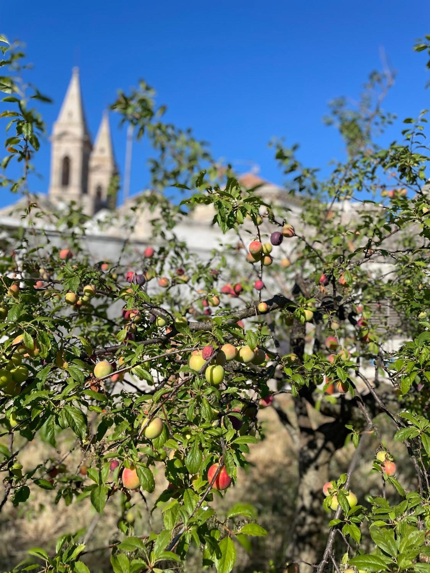 Borganthia - Il Chiostro Dei Medici Alberobello Exterior foto